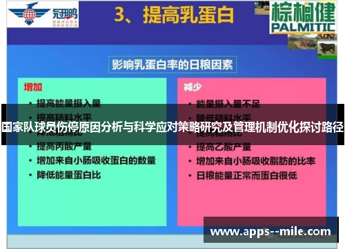 国家队球员伤停原因分析与科学应对策略研究及管理机制优化探讨路径